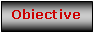 Text Box: Obiective