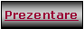 Text Box: Prezentare